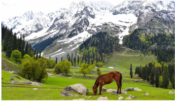 Heavenly Kashmir Tour
